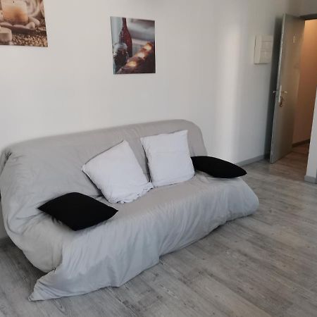 Apartamento F2 Du Gatinais Pithiviers Habitación foto
